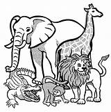 Clipart Coloring Animal sketch template