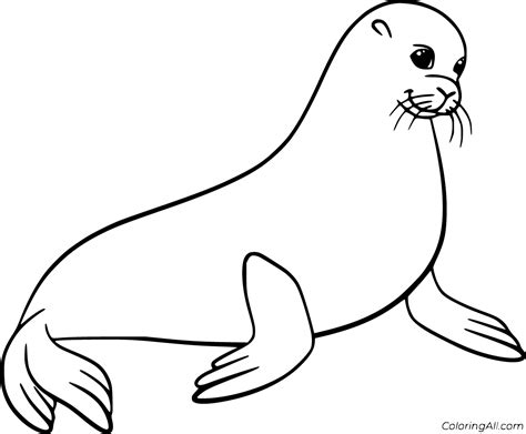 sea lion coloring pages coloringall