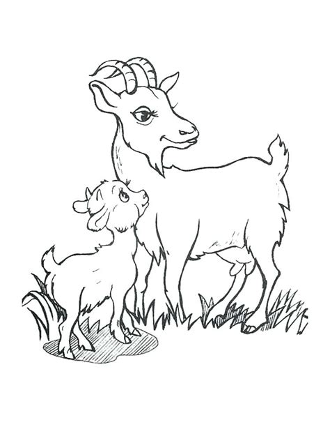 goat coloring pages  getcoloringscom  printable colorings