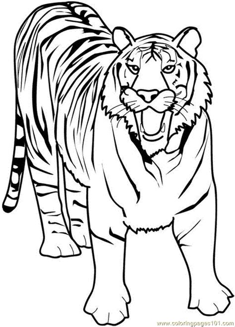 coloring pages  tiger animals tiger  printable coloring