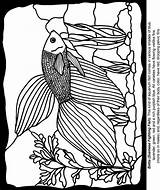 Stained Dover Betta Doverpublications sketch template