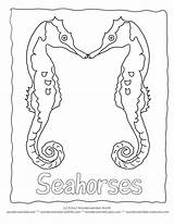 Coloring Seahorse Pages Seahorses Life Animal Ocean Printable Kids Sea Library Clipart Comments Color Mandalas Line sketch template
