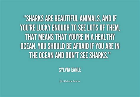 sharks quotes quotesgram