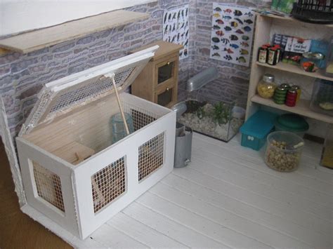 images  miniature pet shop  pinterest pets dollhouse miniatures  hamster cages
