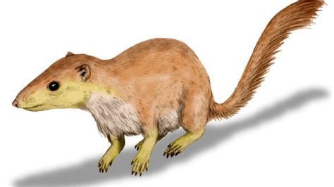 prehistoric mammals didnt  dinosaur die   thrive
