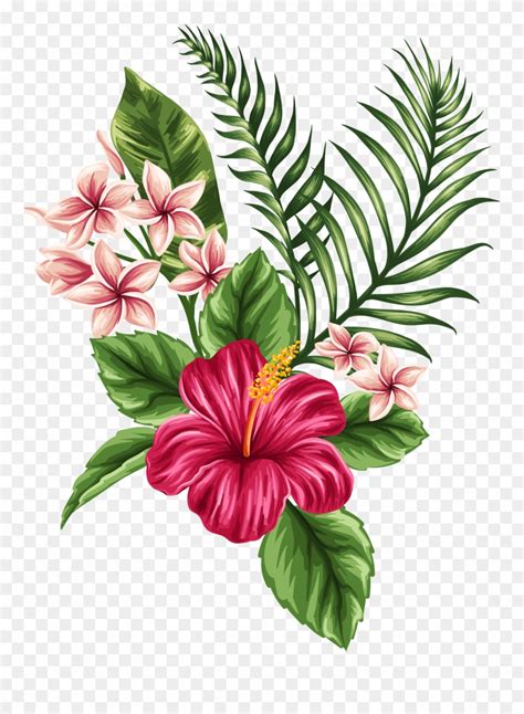 tropical clip art google search flower bouquet drawing plant