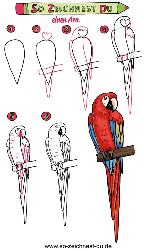 zeichnen lernen vogel malen kinder