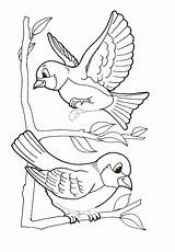 Oiseau Oiseaux Coloriage Pajaros Uccelli Pajaritos Cortas Lecturas Pájaros Coloriages Rajz Bird Comprensivas Aves Tiernos Copiare Vogel Disegno Canari Colorier sketch template