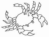 Crab Crabe Fiddler Coloriages Animaux Template Designlooter sketch template