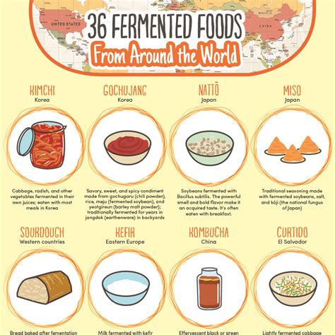fermented foods    world   cookrecipes