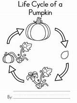 Pumpkin Cycle Life Activity Writing Seed Teacherspayteachers Science Coloring Clipart Book Plant Nancy Activities Pages Template Kindergarten Classroom Parts Visit sketch template