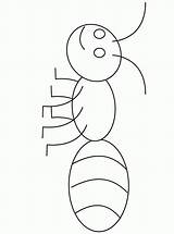 Ant Coloring Color Popular sketch template