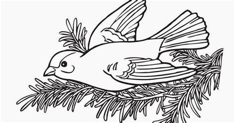 bird coloring page  coloring pages  coloring books  kids
