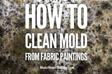 clean mold   fabric paintings  home healthy
