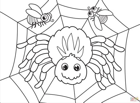 spider coloring page  printable coloring pages