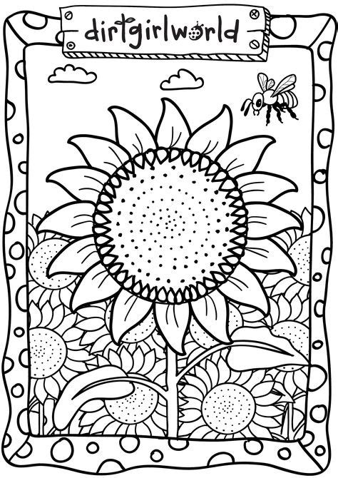 pin  sarah  nelson  summer fun   kids sunflower coloring