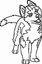 Husky sketch template