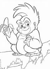Tarzan Gorila Amigo Coloring Jungle Tudodesenhos Monkey sketch template