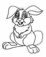 Coloring Pages Animals Forest Animal Colouring Gif Rabbit Bunny sketch template