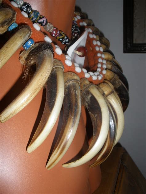 Grizzly Front Claws Bear Claw Necklace Turquoise Jewelry Native