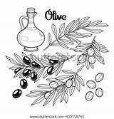 Olives Branches sketch template