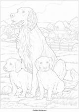 Coloring Pages Adults Adult Paint Dog sketch template