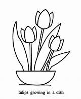 Coloring Tulip Flowers Pages Flower Tulips Simple Printable Pointillism Easy Basic Traceable Large Print Colouring Patterns Kids Color Friends May sketch template