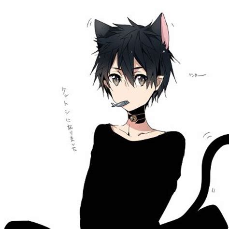 images  neko boys  pinterest  kawaii cats