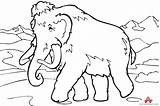 Mammoth Coloring Wooly Woolly Clipart Outline Drawing Elephant Pages Printable Rare Cliparts Getcolorings Clip Colouring Library Kids Colour Color Collection sketch template
