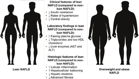 Non Alcoholic Fatty Liver Disease Nafld In Non Obese Individuals
