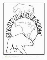Coloring Pages Antarctica America North Worksheets American Sheets Wildlife Continents Worksheet Kids Printable Geography Animals Map Color Education Countries Getcolorings sketch template
