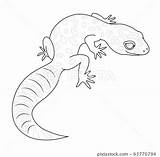 Leopard Gecko Pimg sketch template