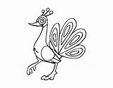 Peafowl Indian Coloring Coloringcrew sketch template