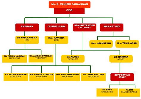 structure  organizational chart image