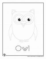 Owl Tracing Woojr sketch template
