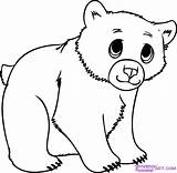Bear Drawing Polar Cub Draw Cartoon Coloring Clipart Cubs Step Baby Animals Choose Board sketch template