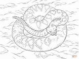 Rattlesnake Coloring Diamondback Eastern Pages Drawing Printable Supercoloring Drawings Crafts sketch template