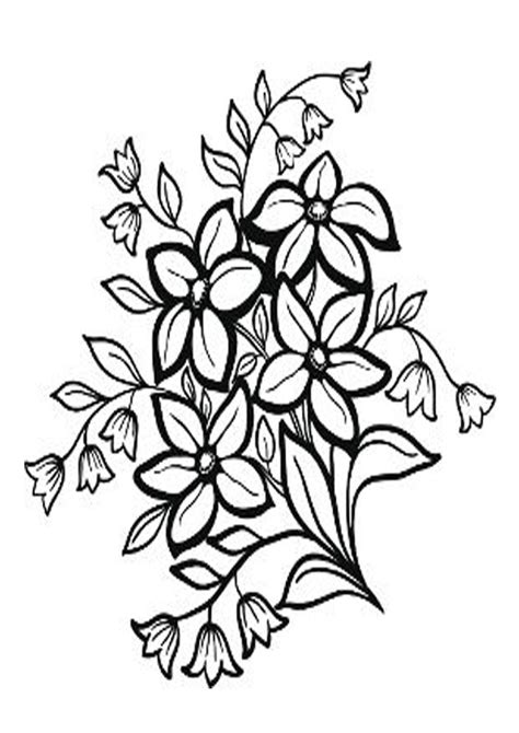 coloring pages jasmine flower coloring pages