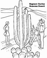 Coloring Desert Pages National Sonoran Cactus Monument Monuments Barrel Racing Drawing Gobi Saguaro Kids Printables Print Parks Usa Arizona Printable sketch template