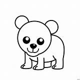 Bear Polar Cartoon Drawing Cute Coloring Draw Getdrawings sketch template