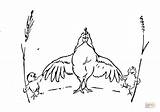 Coloring Pages Chicken Hen Mother Little Drawing Family sketch template