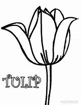 Coloring Tulip Tulips Pages Printable Flower Outline Simple Flowers Kids Drawing Large Template Cool2bkids Clipart Clip Gaddynippercrayons sketch template