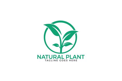 natural plant logo design  logos design bundles