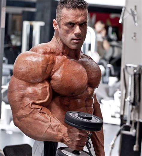 muscle morphs  hardtrainer body building men muscle men muscle