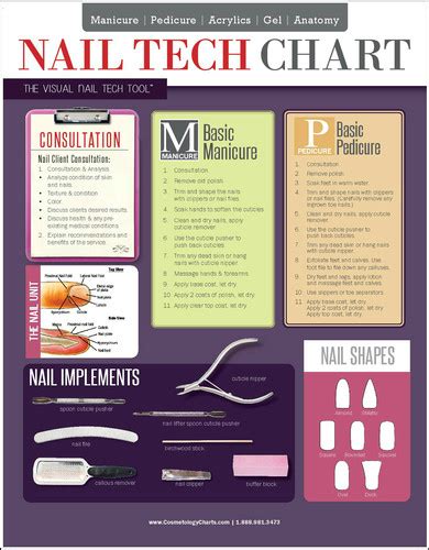 nail tech cheat sheet  sided laminated quick reference guide stylist cheat sheets