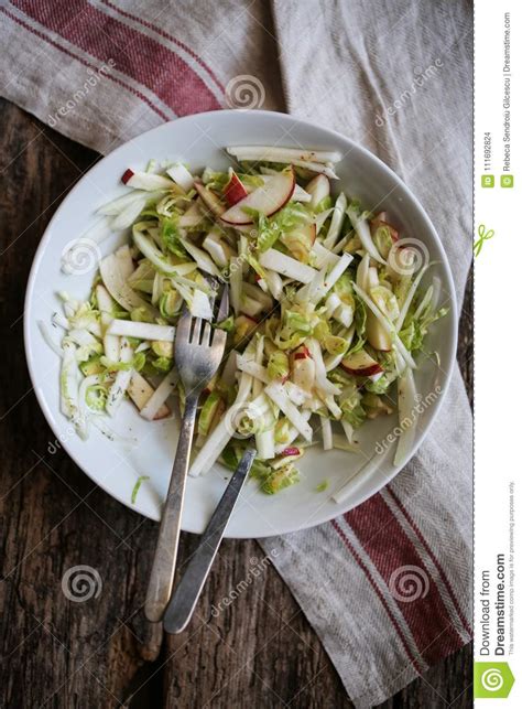 brussle sprouts fennel  apple salad stock photo image  veggies fennel