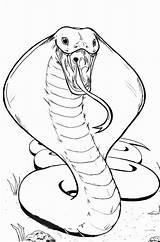Coloring Cobra King Pages Snake Color Hissing Drawing Kids Colouring Drawings Print Play Sketch Creature Terrifying Visit Popular Choose Board sketch template