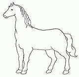 Cavallo Disegno Cavalli Animali Semplice Stampare sketch template