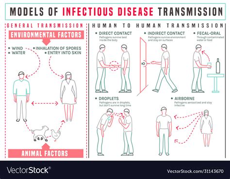 disease transmission infographics royalty  vector image