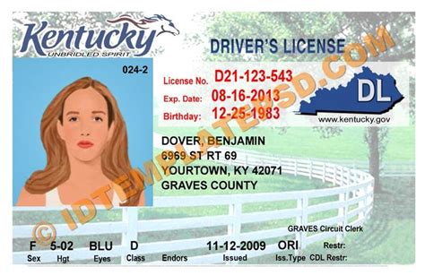pin  novelty psd usa driver license template